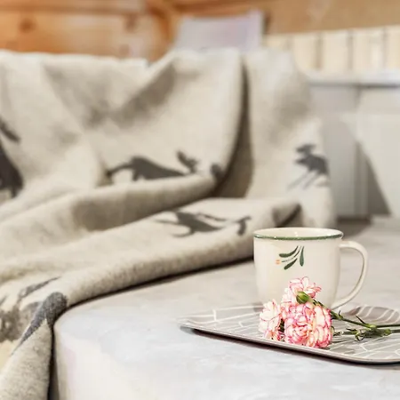 Tatil Evi Yllaes Kajo *